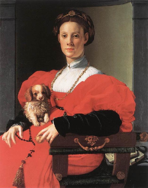 BRONZINO, Agnolo Portrait of a Lady with a Puppy f Sweden oil painting art